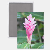 Rosa brasilianischer Orchid Magnet (Vorderseite/Rückseite)