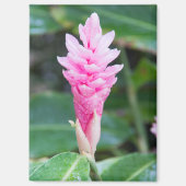 Rosa brasilianischer Orchid Magnet (Vorderseite)