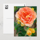 Rosa Brass Band [Postkarte] Postkarte (Vorne/Hinten)