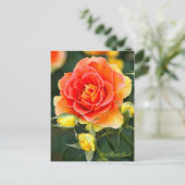 Rosa Brass Band [Postkarte] Postkarte (Stehend Vorderseite)