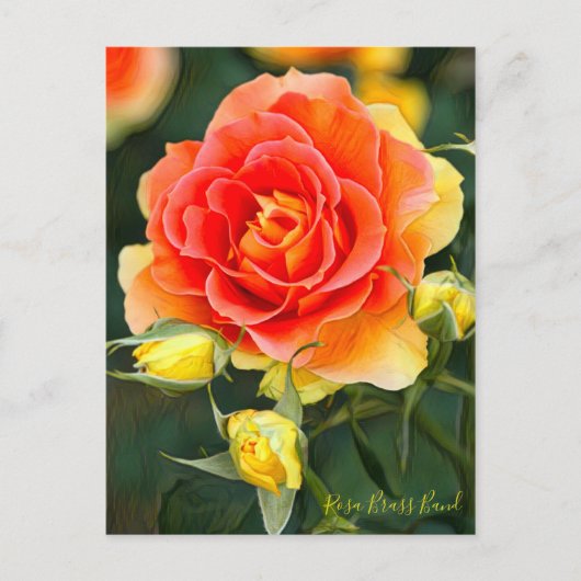 Rosa Brass Band [Postkarte] Postkarte (Vorderseite)