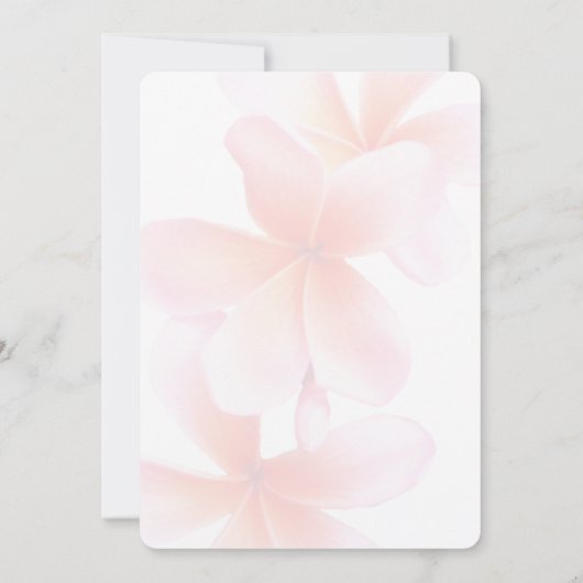 Rosa Brautparty Tropische Plumeria Einladung (Rückseite)