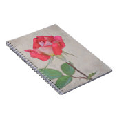 Rosa Bud Art von Gertie's Garden Notizblock (Rechte Seite)