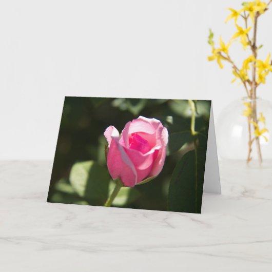 Rosa Bud Beileid Karte (Gelbe Blume)