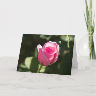 Rosa Bud Beileid Karte