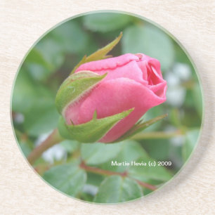 Rosa Bud - Untersetzer