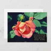 Rosa Budgetierung Rose Motivierend Zitat Postkarte (Vorne/Hinten)