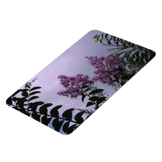 Rosa Bündel von Blume Magnet (Linke Seite)