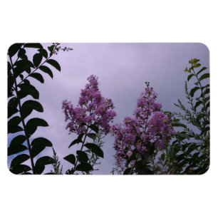 Rosa Bündel von Blume Magnet