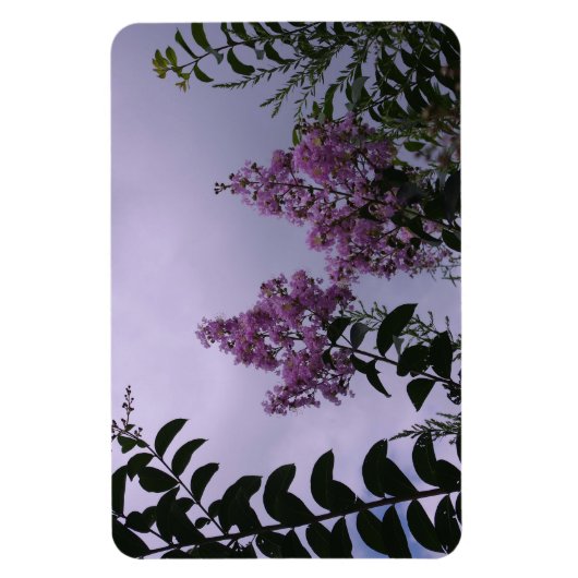 Rosa Bündel von Blume Magnet (Vertikal)