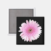 Rosa Burst Magnet (Vorderseite/Rückseite)