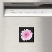 Rosa Burst Magnet (In Situ (Geschirrspüler))