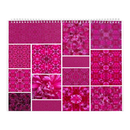 Rosa Cabbage-Rose Kalender (Titelbild)