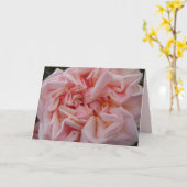 Rosa Cabbage Rose Rose Pastellfarben Blume Karte (Gelbe Blume)