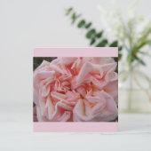 Rosa Cabbage Rose Vintage Blume Blumenkarte (Stehend Vorderseite)