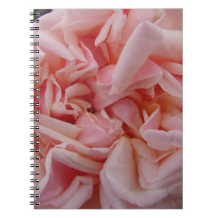 Rosa Cabbage Rose Vintage Blume Rosa Blume Notizblock