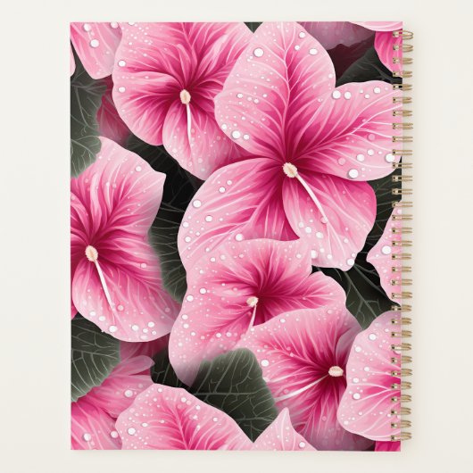 Rosa Caladium Planer (Rückseite)