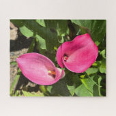 Rosa Calla-Lilie, San Mateo Puzzle (Horizontal)