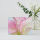 Rosa Calla-Lilien Postkarte (Stehend Vorderseite)