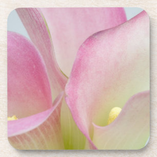 Rosa Calla-Lilien Untersetzer