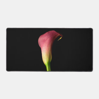 Rosa Calla Lily Elegantes Foto Schwarzer Hintergru Schreibtischunterlage