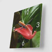 Rosa Calla Lily Piazza della Riforma Quadratische Wanduhr (Winkel)