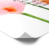 Rosa Calla Lily SITZ CHART 9 Tischfußplatte Poster (Ecke)