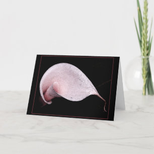 ROSA CALLA NOTECARD/BLANK KARTE