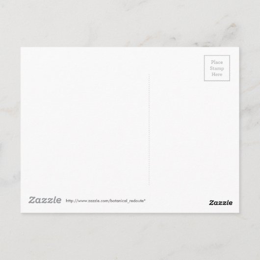 Rosa campanulata alba (Rosa campanulata alba) von Postkarte (Rückseite)