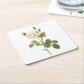 Rosa campanulata alba (Rosa campanulata alba) von  Rechteckiger Pappuntersetzer (angewinkelt)