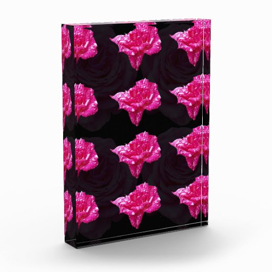 Rosa Candy Fotoblock (Links)