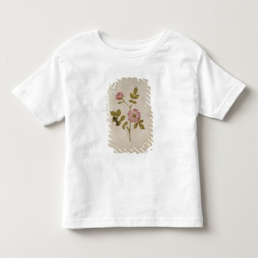 Rosa Canina - Dogrose und Raupe (Bleistift u. mit Kleinkind T-shirt (Vorderseite)