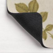 Rosa Canina - Dogrose und Raupe (Bleistift u. mit Mousepad (Ecke)