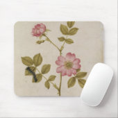 Rosa Canina - Dogrose und Raupe (Bleistift u. mit Mousepad (Mit Mouse)