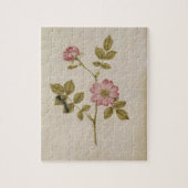 Rosa Canina - Dogrose und Raupe (Bleistift u. mit Puzzle (Vertikal)