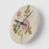 Rosa Canina - Dogrose und Raupe (Bleistift u. mit Runde Wanduhr (Winkel)