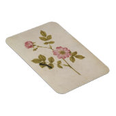 Rosa Canina - Dogrose und Raupe (Stift & Gewicht) Magnet (Rechte Seite)