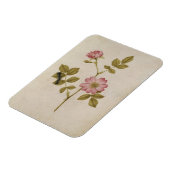Rosa Canina - Dogrose und Raupe (Stift & Gewicht) Magnet (Linke Seite)