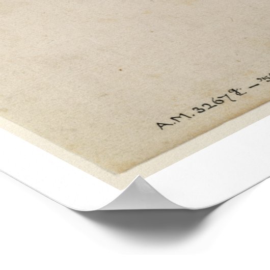 Rosa Canina - Dogrose und Raupe (Stift & Gewicht) Poster (Ecke)