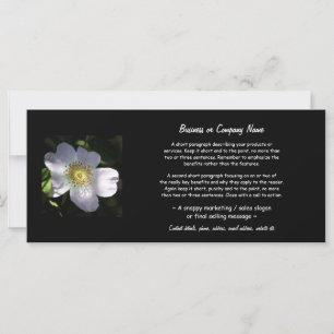 Rosa Canina - Hunde-Rose