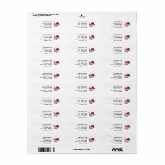 Rosa Cartoon | Hintergrundfarbe auswählen (Vorne)