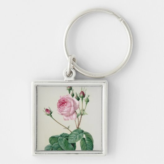 Rosa Centifolia Bullata Schlüsselanhänger (Vorne)