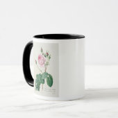 Rosa Centifolia Bullata Tasse (Vorderseite Links)