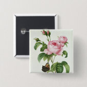 Rosa Centifolia Button (Vorne & Hinten)