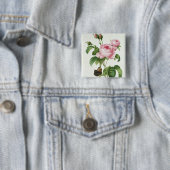 Rosa Centifolia Button (Beispiel)