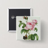 Rosa Centifolia Button (Vorne & Hinten)