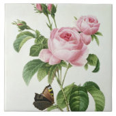 Rosa Centifolia Fliese (Vorderseite)