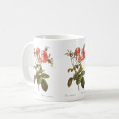 Rosa Centifolia Foliacea Kaffeetasse (Vorderseite Links)