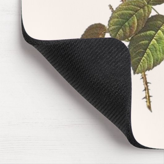 Rosa Centifolia Foliacea Mousepad (Ecke)