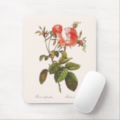 Rosa Centifolia Foliacea Mousepad (Mit Mouse)